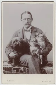 Teddy with dogs